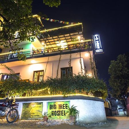 Big Tree Hostel カトマンズ エクステリア 写真