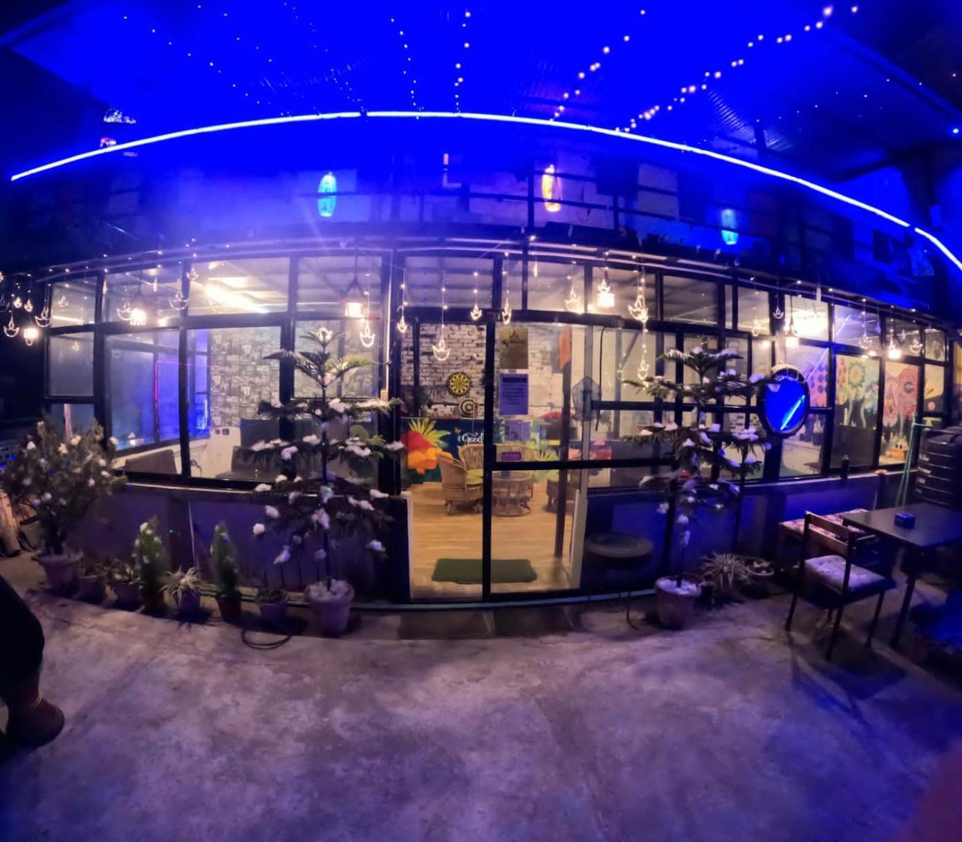 Big Tree Hostel カトマンズ エクステリア 写真