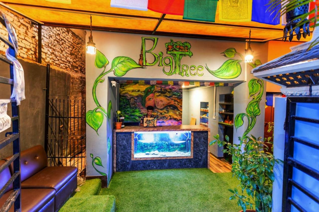 Big Tree Hostel カトマンズ エクステリア 写真