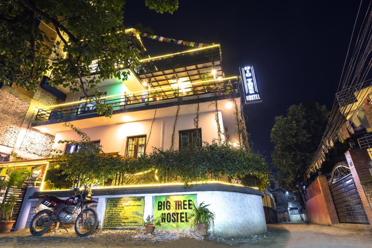 Big Tree Hostel カトマンズ エクステリア 写真